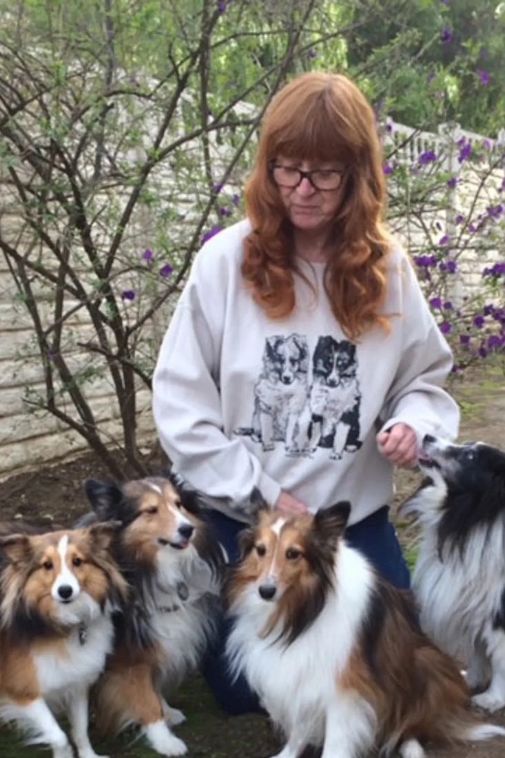 Woman sitting outdoors with four Shetland Sheepdogs in a garden